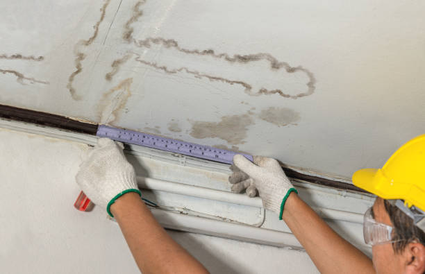 Reliable Water Damage contractor in Templeton, MA by Water Damage Irwin